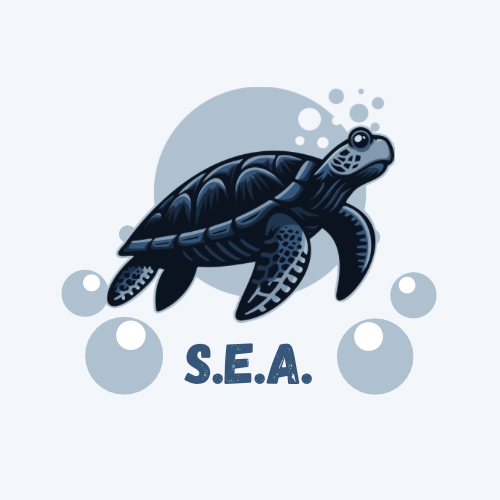 Ocean conservation